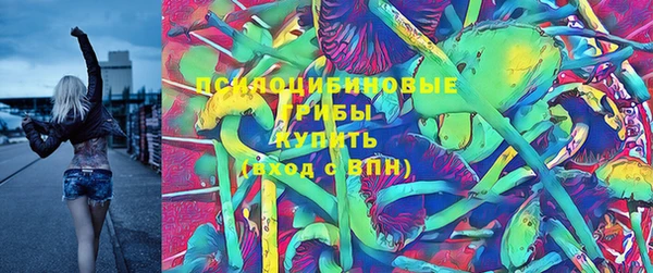 шишки Верхнеуральск