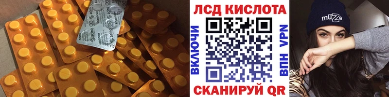 как найти наркотики  Кировск  Лсд 25 экстази ecstasy 