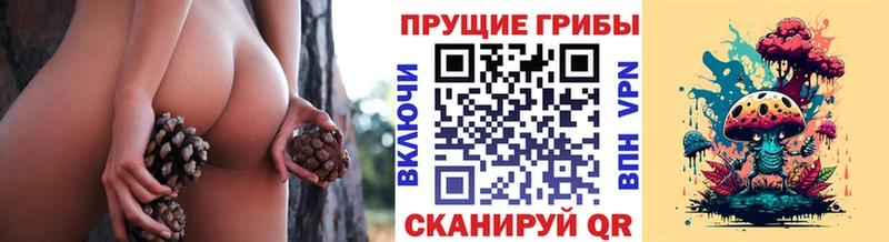 цены   Кировск  Галлюциногенные грибы мухоморы 